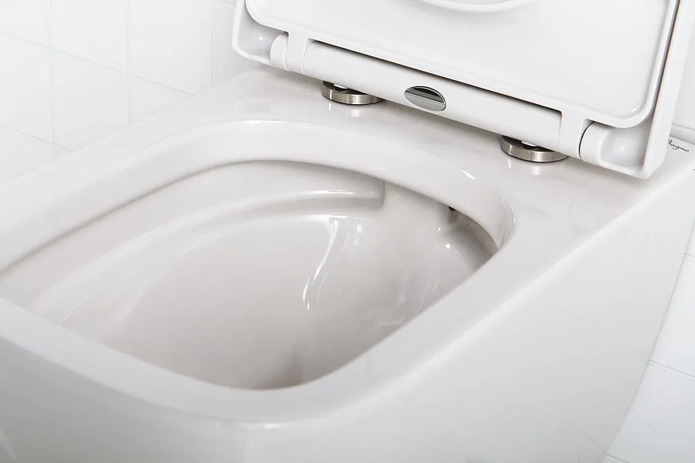 Крышка-сиденье BelBagno Alpina BB309SC с микролифтом Sancos — официальный сайт