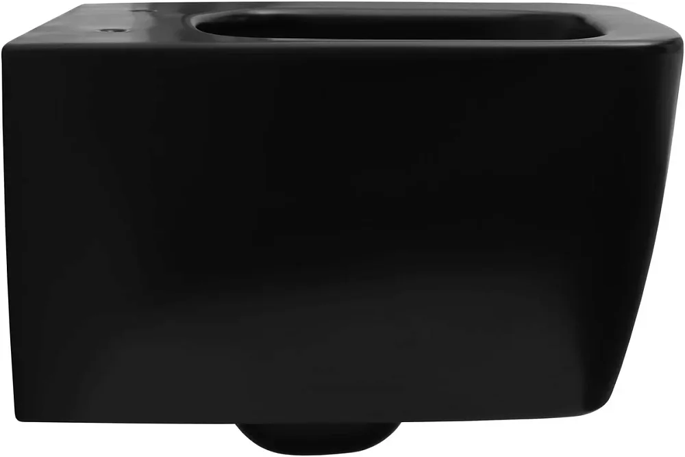 Чаша для унитаза подвесного Allen Brau Liberty 4.33007.31 безободковый, матовый черный Sancos — официальный сайт