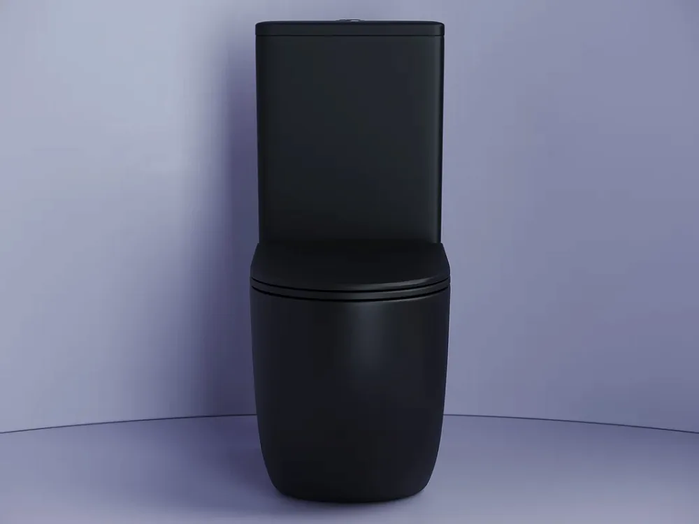 Бачок для унитаза Ceramicanova Metropol CN4001-TMB Sancos — официальный сайт