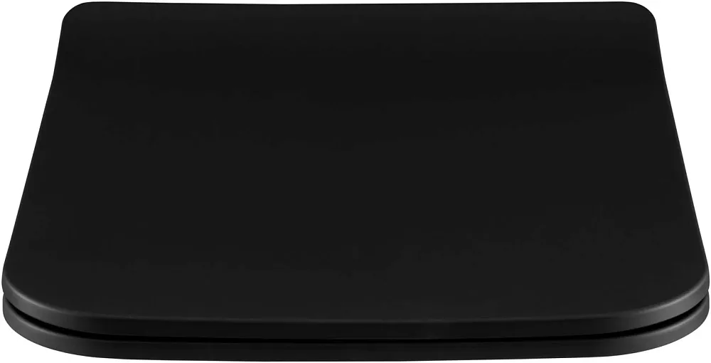 Крышка-сиденье Allen Brau Liberty 4.33008.31 с микролифтом, черная матовая Sancos — официальный сайт