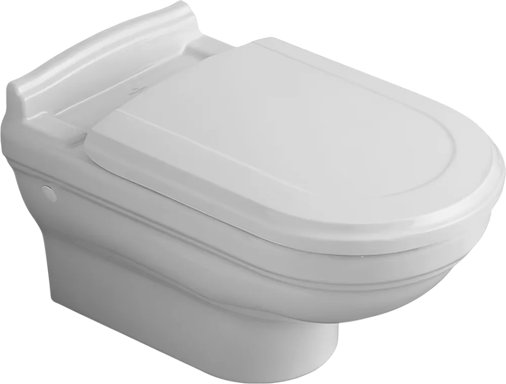 Унитаз подвесной Villeroy & Boch Hommage 6661 B0 R1 Sancos — официальный сайт