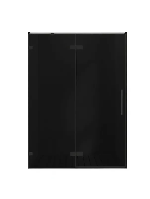 Душевая дверь в нишу Veconi Premium Alassio BB 140x200, профиль матовый черный, стекло тонированное Sancos — официальный сайт