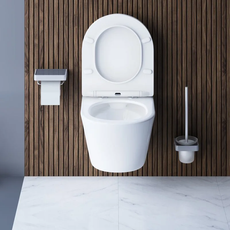 Унитаз подвесной Damixa Skyline DX35C1700SC Sancos — официальный сайт
