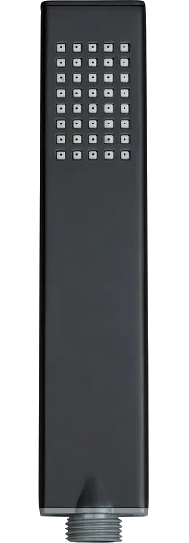 Душевая лейка Allen Brau Infinity 5.21022-31 черная Sancos — Оригинал