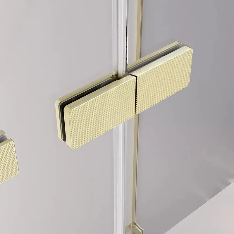 Душевая дверь в нишу Veconi Premium Alassio G 120x200, профиль брашированное золото, стекло прозрачн Sancos — официальный сайт