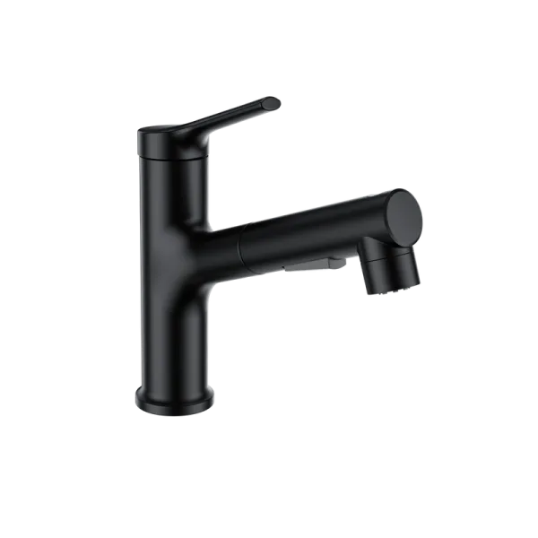 Смеситель для раковины Wonzon & Woghand WW-A40862-MB с выдвижным изливом, черный матовый Sancos — Оригинал