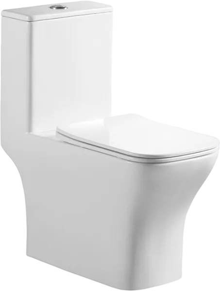 Унитаз-моноблок напольный BelBagno Neon BB8617CPR-MN/SC Sancos — Оригинал