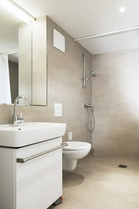 Душевая штанга Grohe Tempesta New Cosmopolitan 27521000 Sancos — официальный сайт