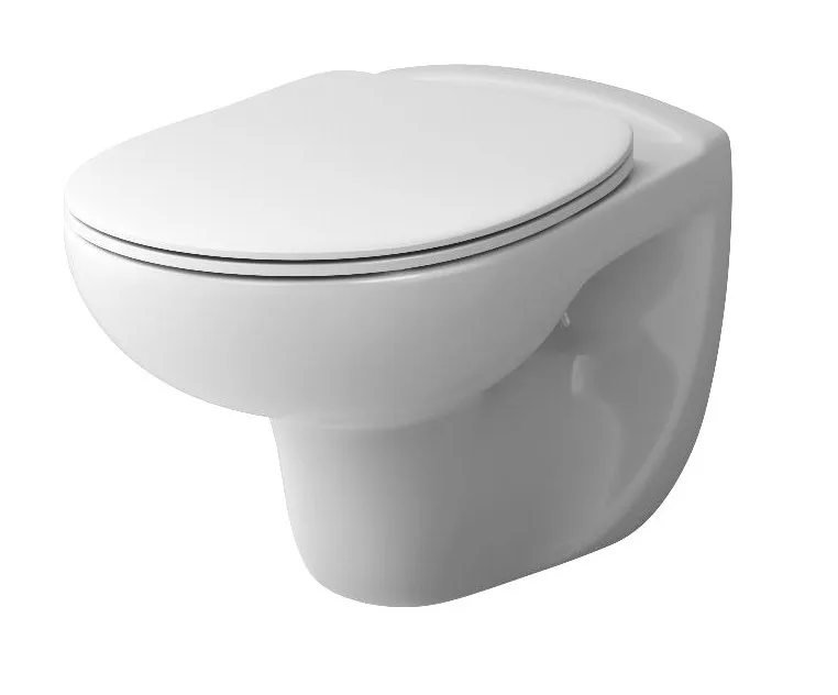 Унитаз подвесной Damixa Willow DX15C1700SC Sancos — официальный сайт