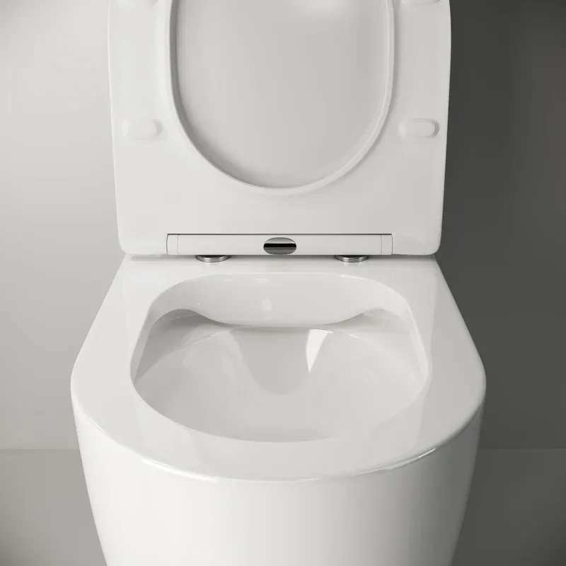 Бачок для унитаза Ceramicanova Mia Rimless CN1801-T Sancos — официальный сайт