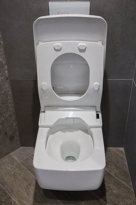 Крышка-сиденье Toto SG TCF403REGV1#NW1 с дистанционным управлением Sancos — официальный сайт