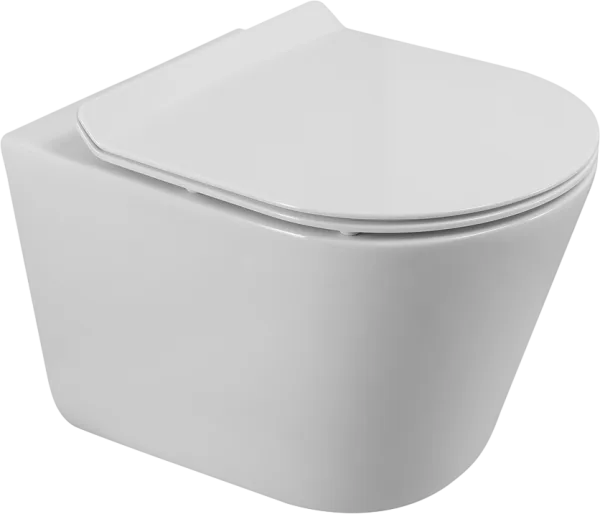 Унитаз подвесной BelBagno Flay-r BB053CH-TOR-FC BB2111SC с микролифтом, безободковый, белый Sancos — Оригинал