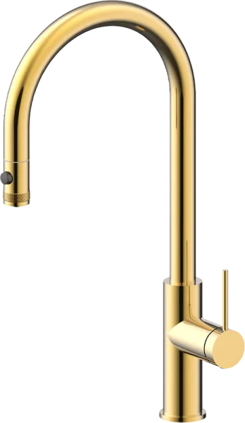 Смеситель для кухни Paulmark Galant Ga213077-SBG светлое брашированное золото Sancos — Оригинал