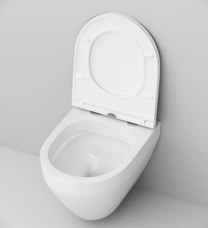 Унитаз подвесной AM.PM Spirit V2.0 FlashClean с микролифтом Sancos — официальный сайт