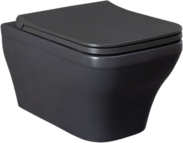 Унитаз подвесной Allen Brau Infinity 4.21011.AN Sancos — Оригинал