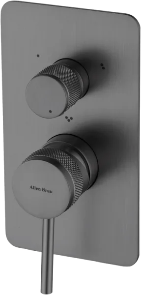 Встраиваемый смеситель Allen Brau Priority 5.31A11-MG С ВНУТРЕННЕЙ ЧАСТЬЮ, браширов Sancos — Оригинал