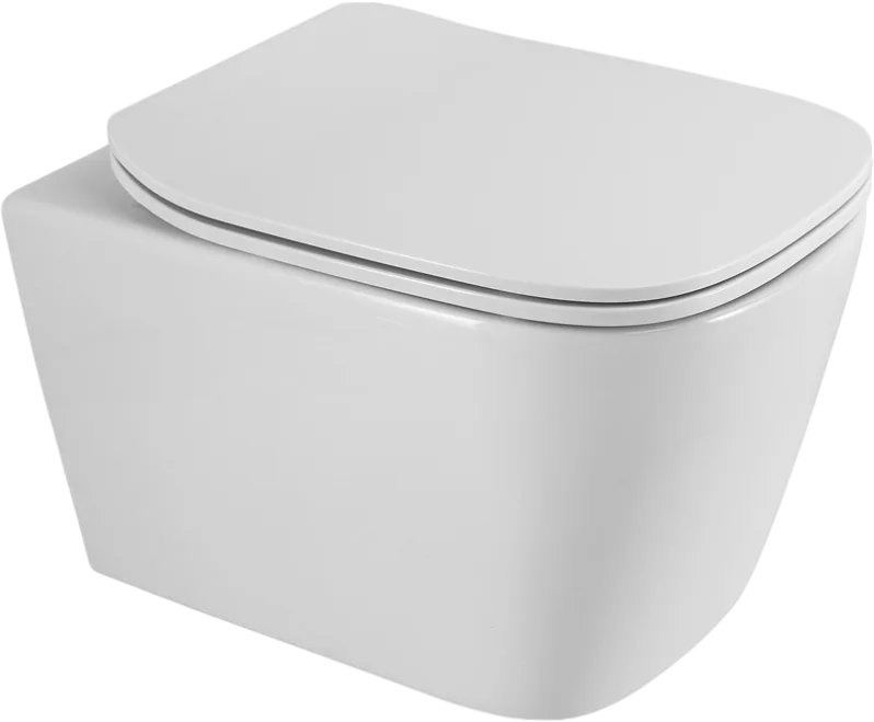 Унитаз подвесной BelBagno Albano BB120CHR безободковый, сиденье BB903SC с микролифтом Sancos — официальный сайт