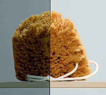 Душевой уголок Radaway Almatea KDJ 120x80 стекло графит R Sancos — официальный сайт