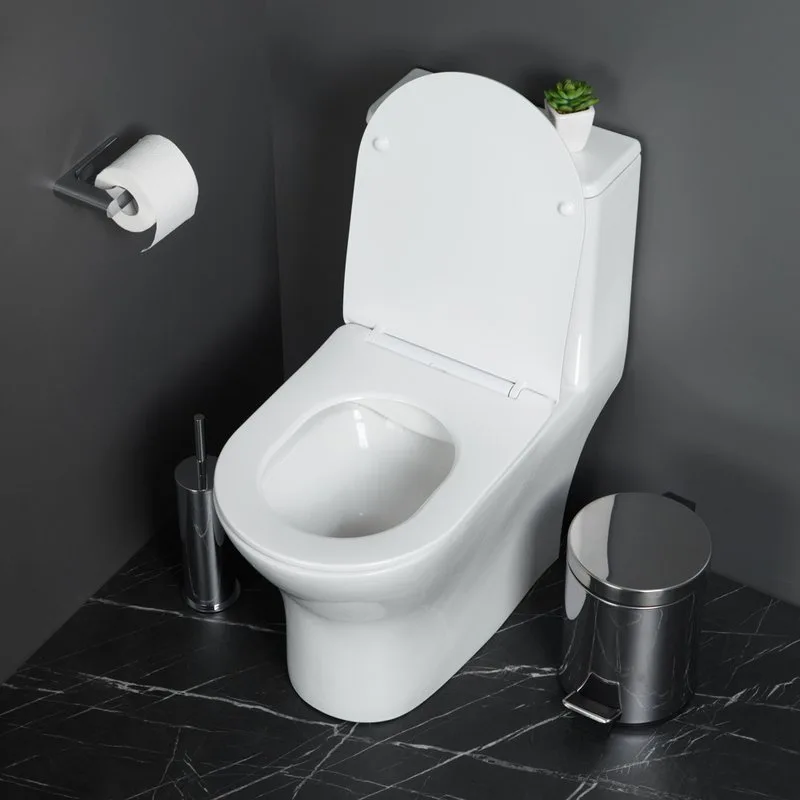 Унитаз-моноблок напольный BelBagno Lounge BB8618CPR-MN/SC Sancos — официальный сайт