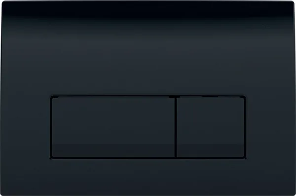 Кнопка смыва Geberit Delta 50 115.119.DW.1 черная Sancos — Оригинал