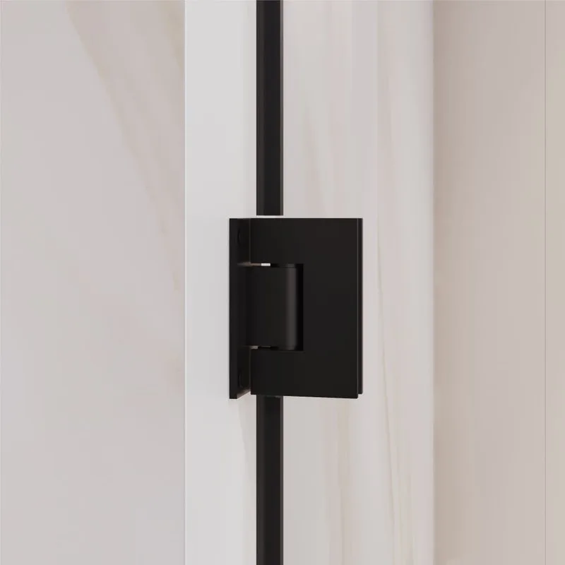 Душевая дверь в нишу RGW Passage PA-06B 41080606-14 60х195, профиль черный Sancos — официальный сайт