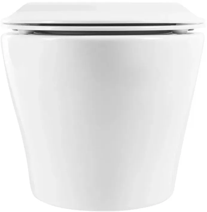 Крышка-сиденье BelBagno Prospero BB2020SC с микролифтом, петли хром Sancos — официальный сайт