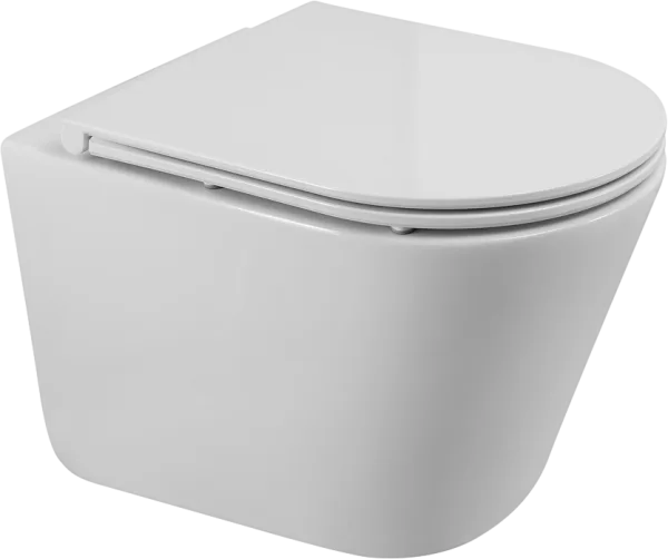 Унитаз подвесной BelBagno Flay-r BB053CH-TOR-FC BB870SC с микролифтом, безободковый, белый Sancos — Оригинал