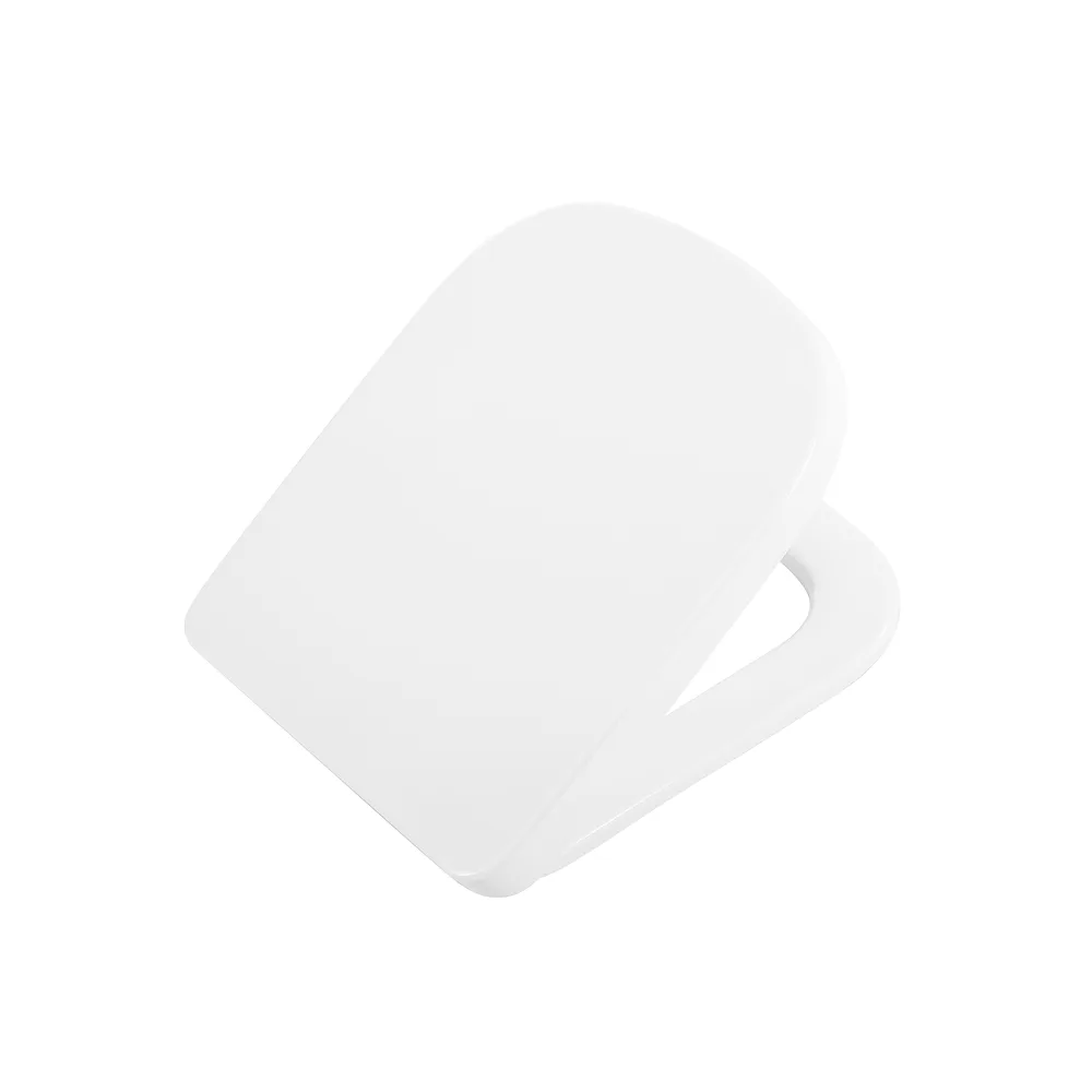 Крышка-сиденье BelBagno Albano BB120SC с микролифтом, петли хром Sancos — официальный сайт