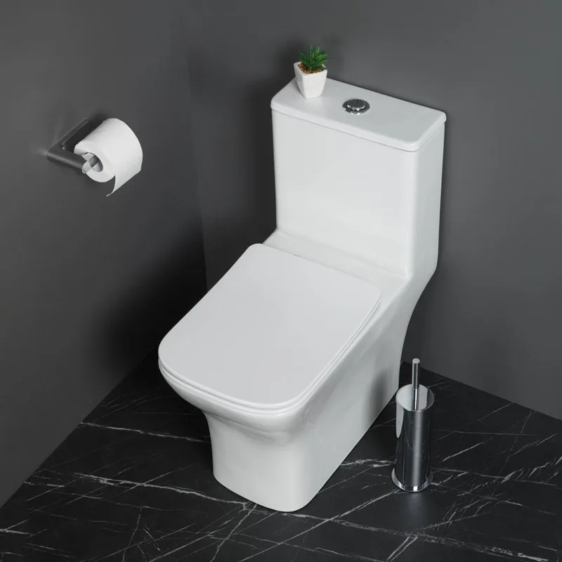 Унитаз-моноблок напольный BelBagno Neon BB8617CPR-MN/SC Sancos — официальный сайт