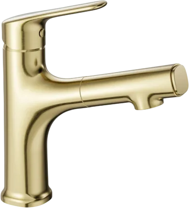 Смеситель для раковины Wonzon & Woghand WW-AE4151-BG с выдвижным изливом, брашированное золото Sancos — Оригинал