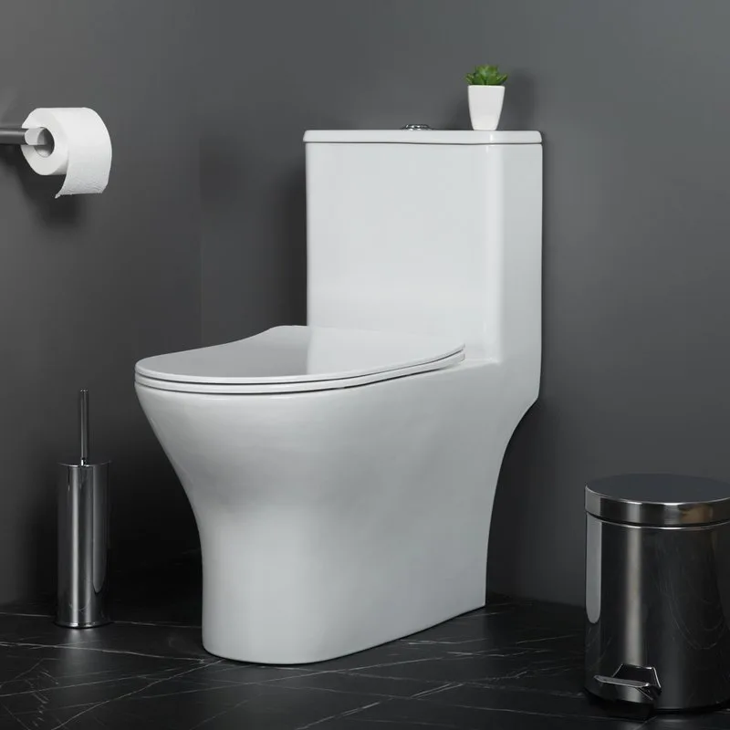 Унитаз-моноблок напольный BelBagno Lounge BB8618CPR-MN/SC Sancos — официальный сайт