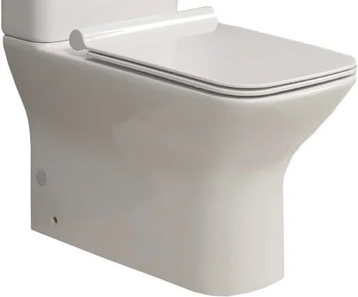 Чаша для унитаза-компакта BelBagno Romano BB248CPR-P