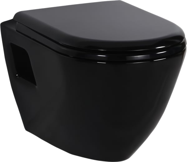 Унитаз подвесной Creavit Terra TP325