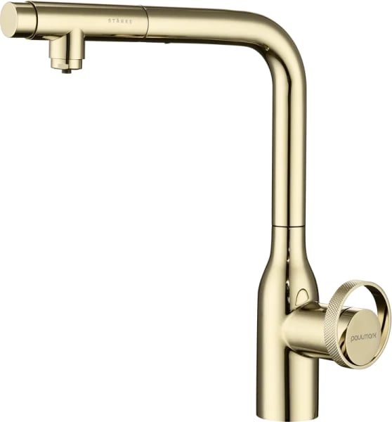 Смеситель для кухни Paulmark Urban Ur213104-G золото