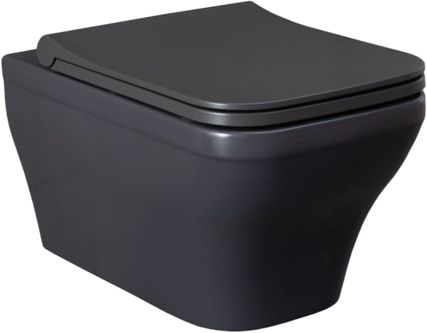 Унитаз подвесной Allen Brau Infinity 4.21011.AN