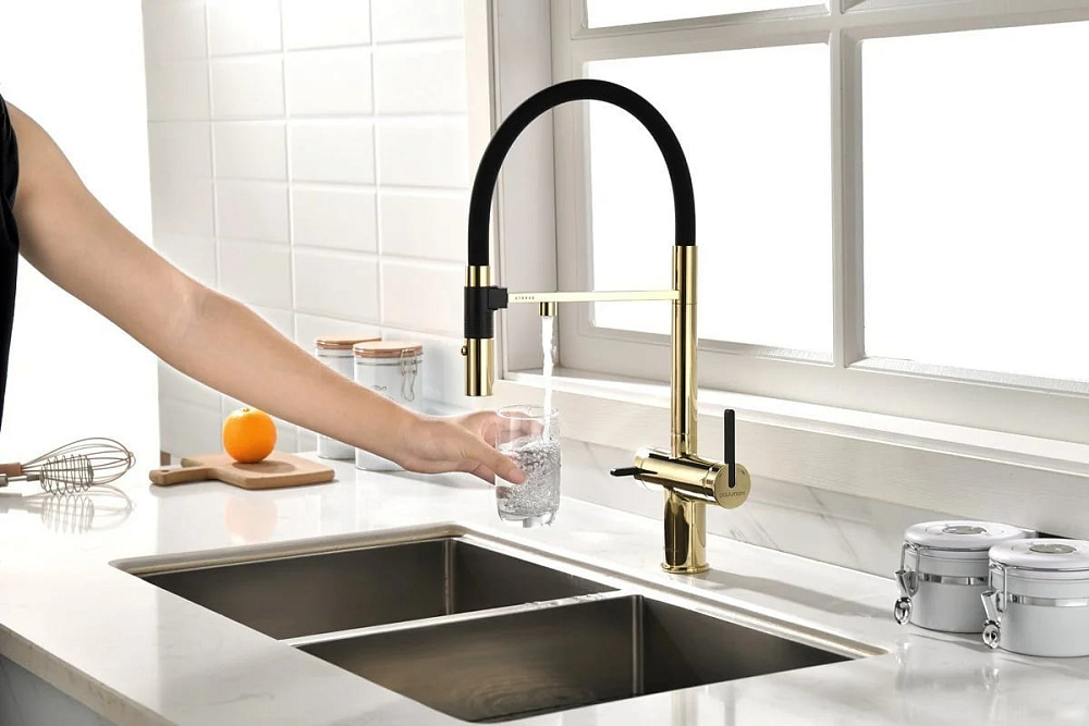 Смеситель для кухни Paulmark Gravity Gr213888-G, золото
