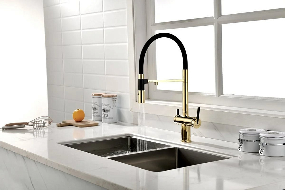 Смеситель для кухни Paulmark Gravity Gr213888-G, золото