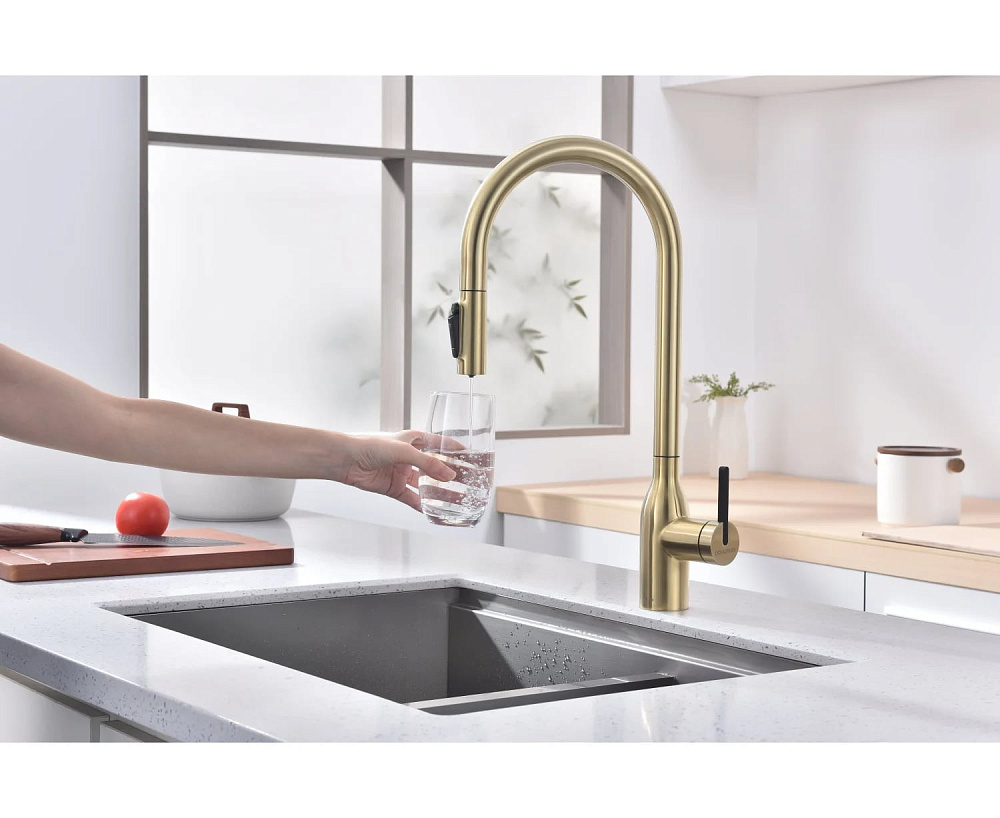 Смеситель для кухни Paulmark Universal Un213880-LG светлое золото