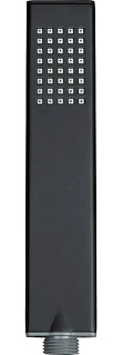 Душевая лейка Allen Brau Infinity 5.21022-31 черная