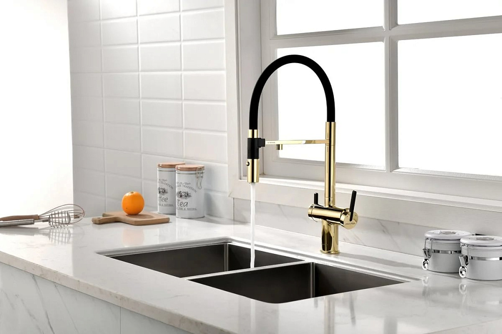 Смеситель для кухни Paulmark Gravity Gr213888-G, золото