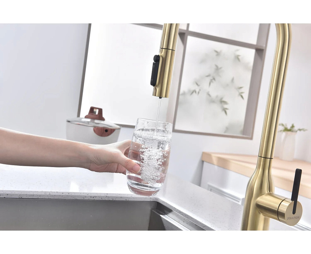 Смеситель для кухни Paulmark Universal Un213880-LG светлое золото