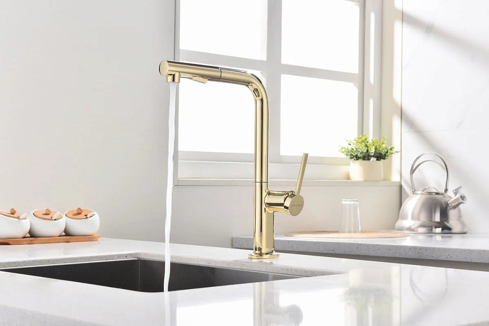 Смеситель для кухни Paulmark Neo Ne214419-G, золото