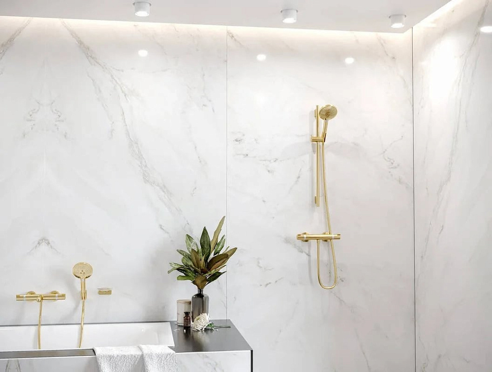 Душевая лейка Hansgrohe Raindance Select S 26530990 полированное золото