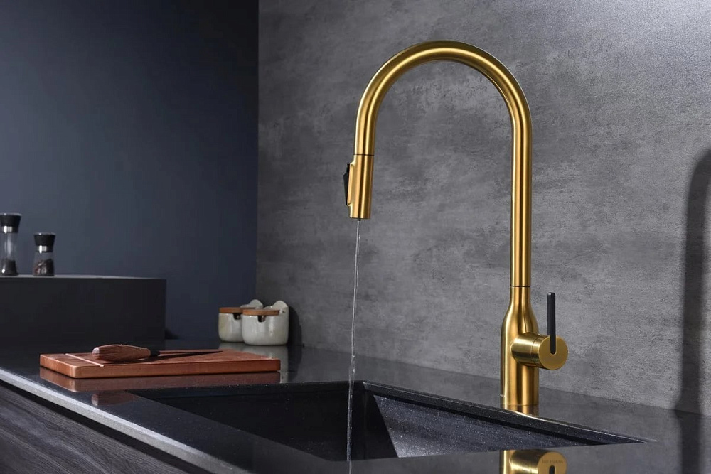 Смеситель для кухни Paulmark Universal Un213880-BG брашированное золото