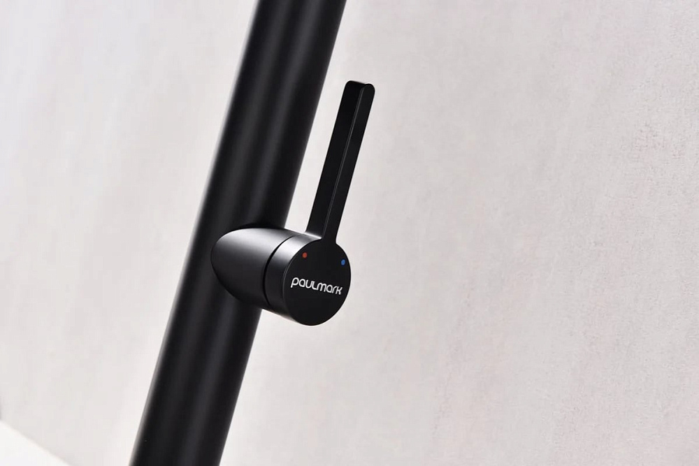 Смеситель для кухни Paulmark LeaderLe214101-AN, антрацит, с гибким изливом
