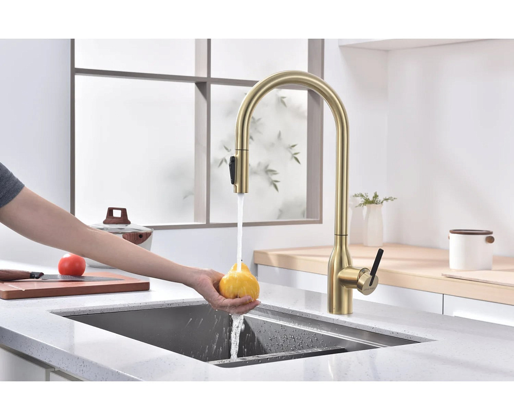 Смеситель для кухни Paulmark Universal Un213880-LG светлое золото