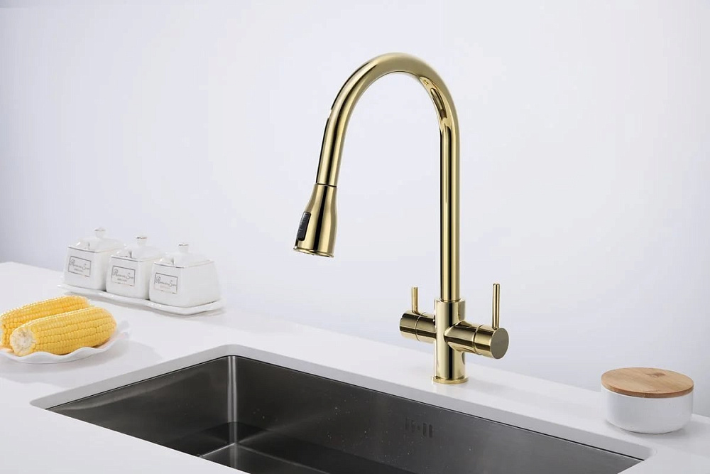 Смеситель для кухни Paulmark Lange 214212-G, золото