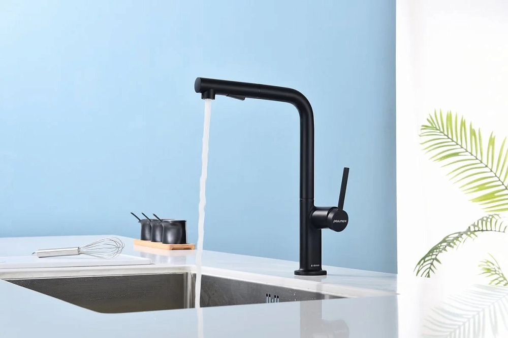 Смеситель для кухни Paulmark Neo Ne214419-AN, антрацит