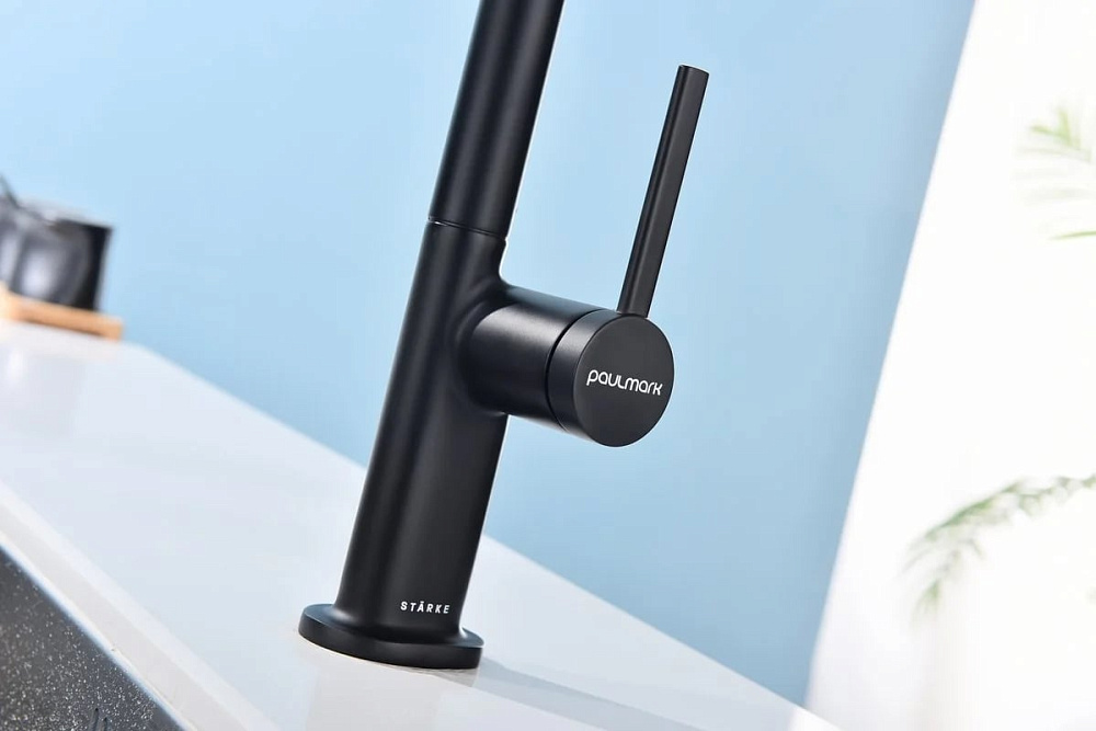 Смеситель для кухни Paulmark Neo Ne214419-AN, антрацит