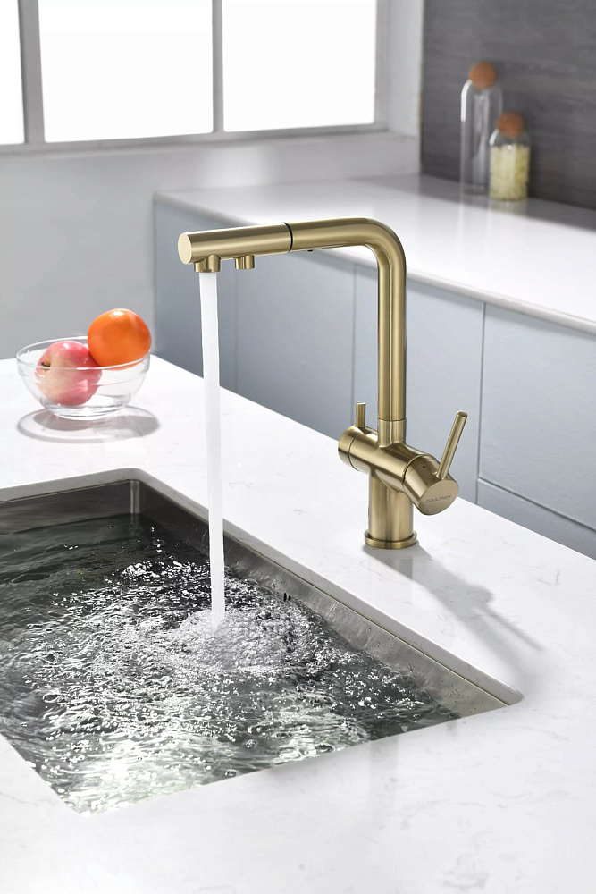 Смеситель для кухни Paulmark Serpentine Se213222-BG золото брашированное